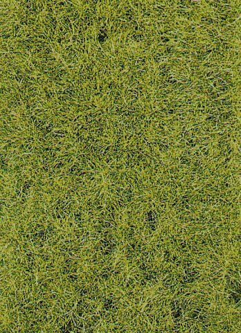 Heki 3376 Grasstreu XL Feder 50g 10 mm