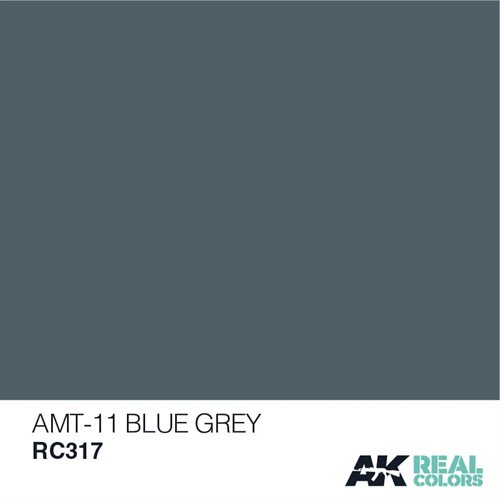 AKRC317 AMT-11 BLAU GRAU 10ML